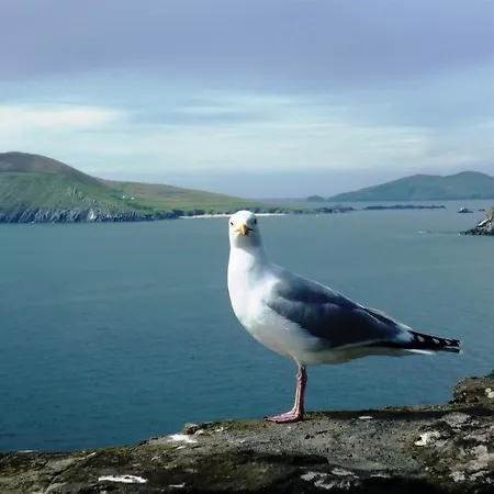 Cill Bhreac House Dingle