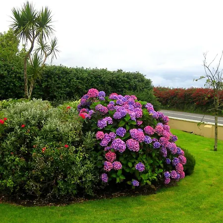 Bed and breakfast Cill Bhreac House