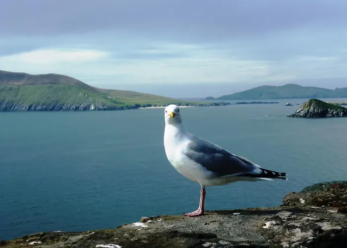 Cill Bhreac House Dingle