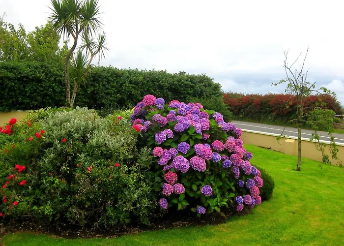 Bed & Breakfast Cill Bhreac House